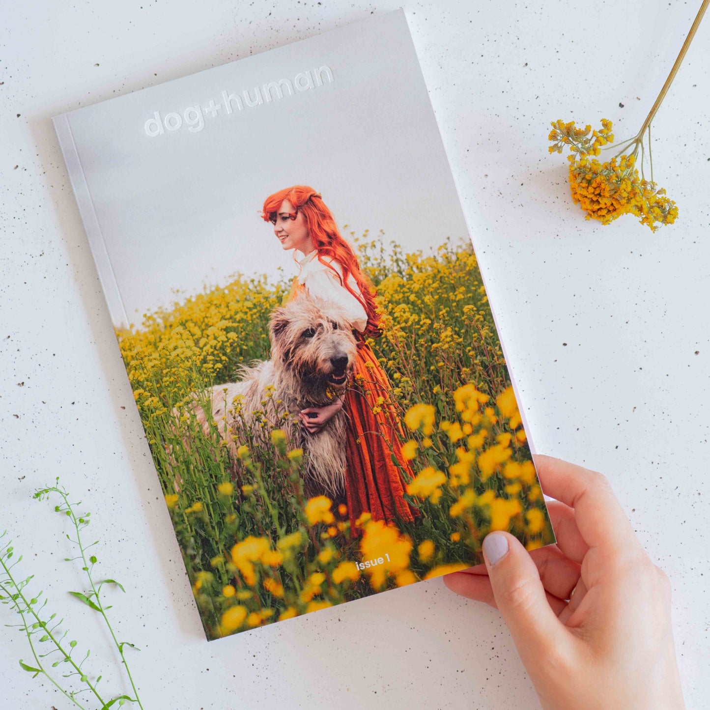 Dog+human • Revistă (numărul 1)