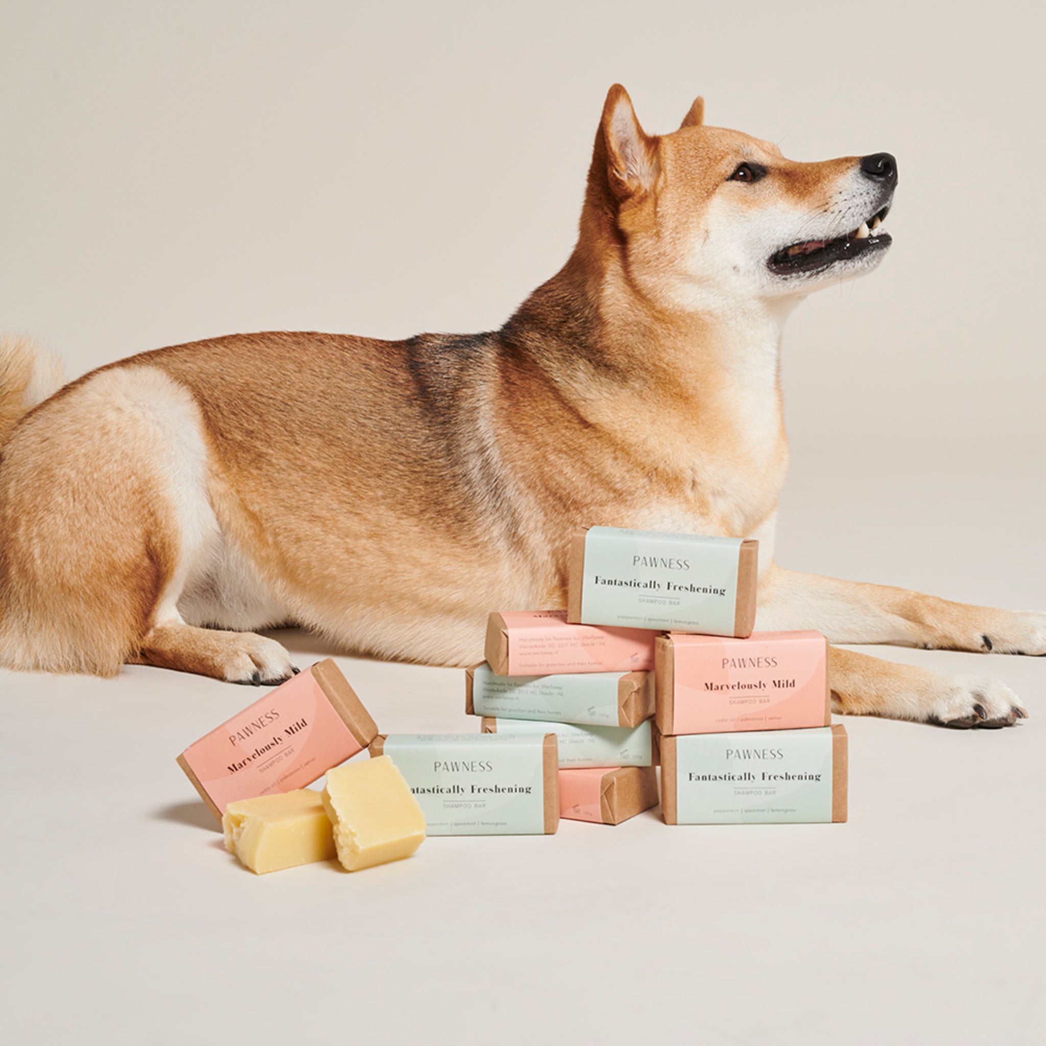 Shiba best sale inu shampoo